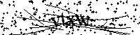 Veuillez saisir les lettres ci-dessous